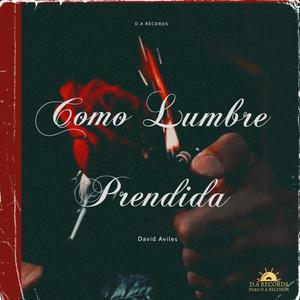 Como Lumbre Prendida