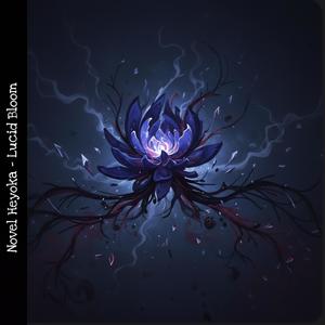 Novel Heyoka - The Outsiders Orbit