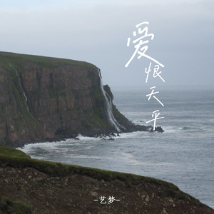 爱恨天平