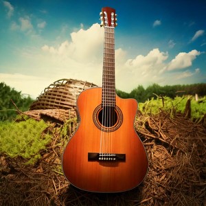 Harmonic Journeys: Guitar Music for Every Mood