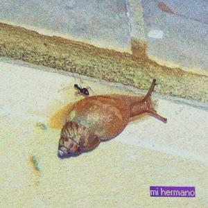 mi hermano (feat. Dreh) (Explicit)