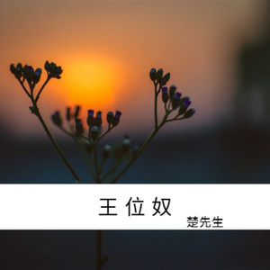 楚先生 - 王位奴