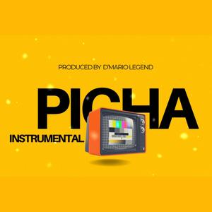 PICHA