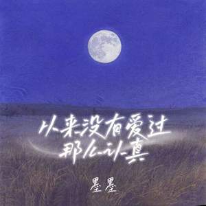 从来没有爱的那么认真