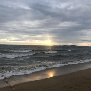 ̶L̶o̶v̶̶e̶̶̶ ̶S̶̶o̶n̶g̶