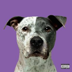 DUMB (Explicit)