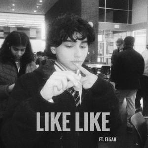 Like Like (Country Trap Remix)