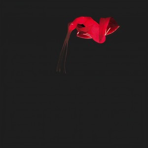 Darkness to the Light (Pablo Bolivar Rework)