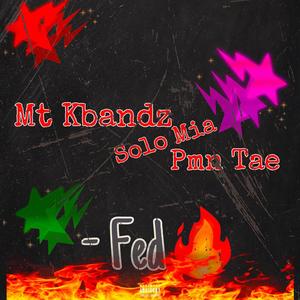 Fed (feat. SoloMia & Pmn Tae) [Explicit]