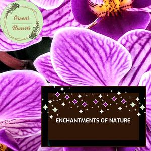 Enchantments of Nature