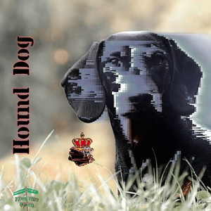 Hound Dog