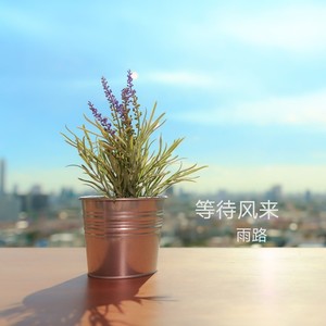 等待风来