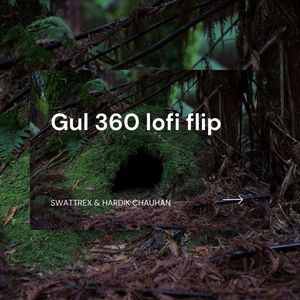 Gul 360 lofi flip