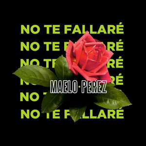 No Te Fallaré