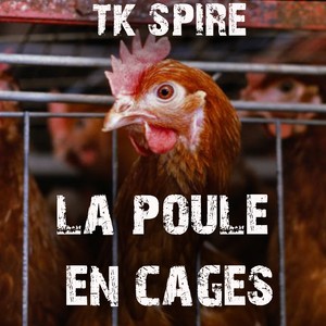 La Poule En Cages