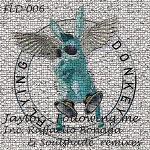 Following Me (Raffaello Bonaga Remix)