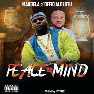 Peace Of Mind (feat. Olotu)