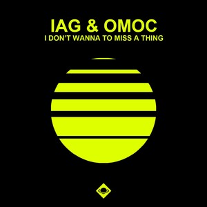 I Don't Wanna to Miss a Thing