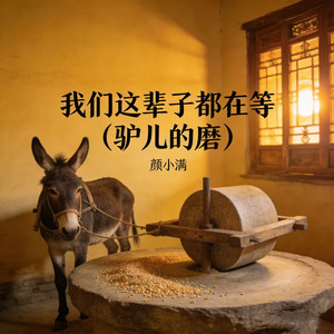 我们这辈子都在等 (驴儿的磨)