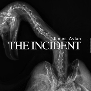 The Incident