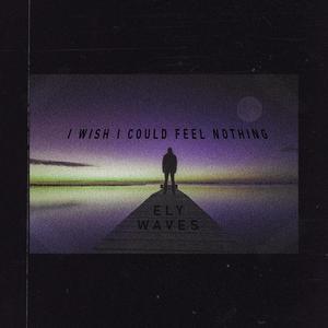 I wish I could feel nothing (Remix) [Explicit]