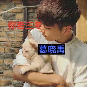 奢香夫人 (DJ版)