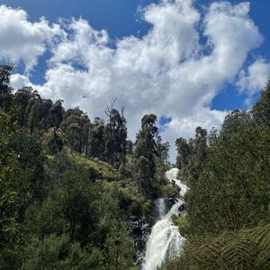 intoxicated/lonelylately (Explicit)