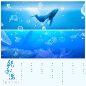 鲸落之遇 (COVER版)