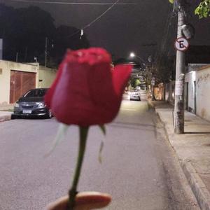 Quando te vi