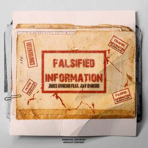 Falsified Information (Explicit)