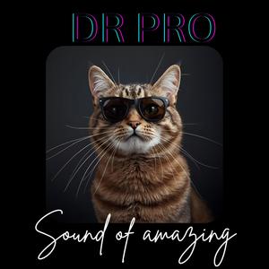 Sound of amazing (feat. Skitspro mp) (Explicit)