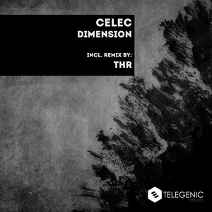 Dimension (Original Mix)