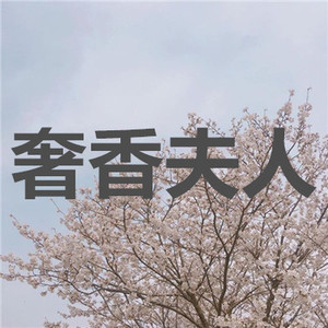 黑武士 (电音版)