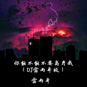 你能不能不要离开我 (DJ雷雨哥版)