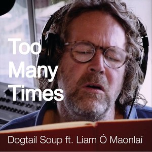 Too Many Times (feat. Liam Ó Maonlaí)