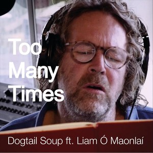 Too Many Times(feat. Liam Ó Maonlaí)