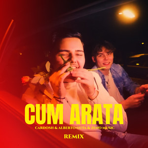 Cum Arata (Remix)