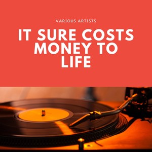 It Sure Costs Money To Life