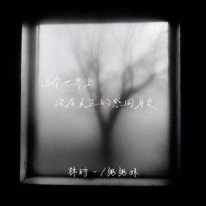 这个世界上没有真正的感同身受