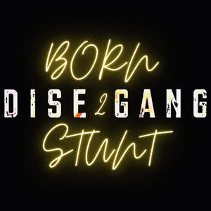 Born 2 Stunt (Explicit)