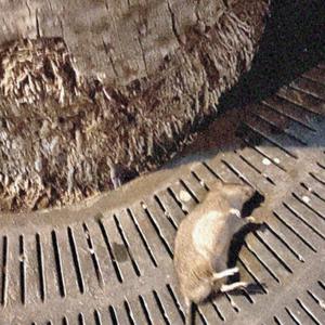 Great benefits are included in the deal (Explicit)