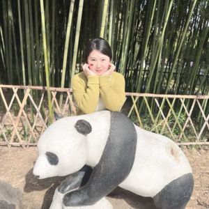 真我 (专属定制版)封面