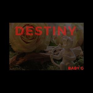 Destiny (Explicit)