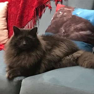 Here’s That Rainy Day