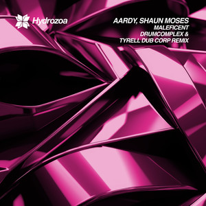 Maleficent (Drumcomplex Remix)