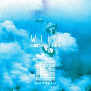 Wild (Terry Zhong Remix)封面