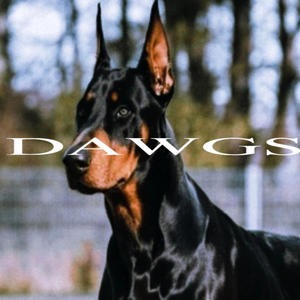 Dawgs (Explicit)