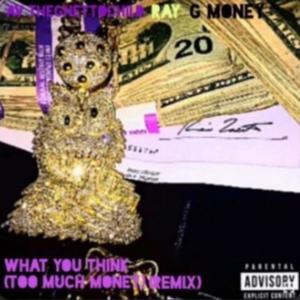 What you think (too much money) (feat. Ssc Ray & Jt money music) [Remix] [Explicit]