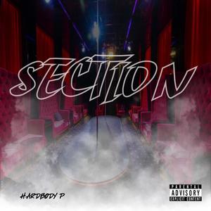 Section (Explicit)