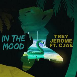 In The Mood (feat. Cjae) (Slowed N' Reverb) (Explicit)